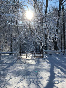 Picture:  The midday sun shines brightly through snow clad decidious trees. In the forefront a closed red steel gate is also clad in snow.  Picture at Clover Forest, Goochland VA by Sebastian Volcker