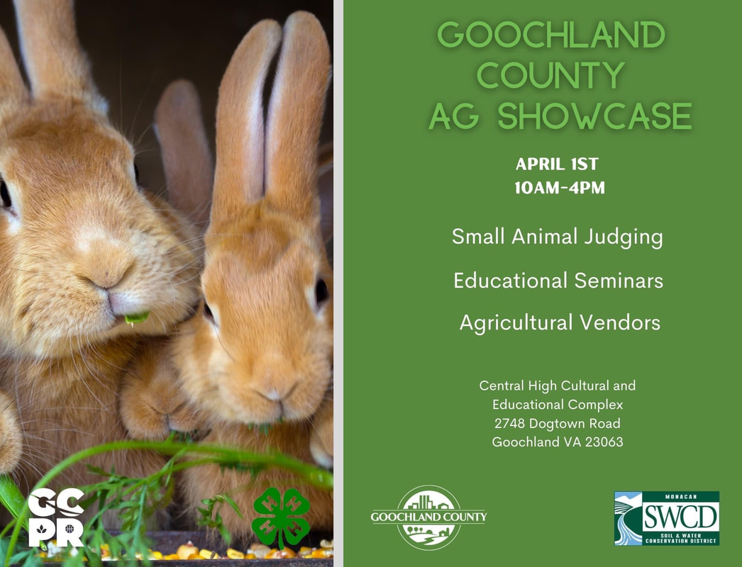 Poster from Goochland County Park and Recreation showing a  pair of rabbits.  Text is: Goochland County Ag Showcase Saturday April 1, 2023, 10:00 am - 4:00 pm, Small Animal Judging, Educational Seminars, Agricultural Vendors. 2748 Dogtown Road, Goochland, VA 23063.  It sports the logos of 4 H, and Monacan Soil & Water Conservation District, and Goochland County.