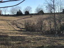 Pasture with cattle exclusion, view of an amphitheater shaped pasture, winter burned grasses, a fenced out creek bed with faded green tubes protecting unseen saplings, Clover Forest, Virginia, Pic. Sebastian Volcker, January 21, 2023